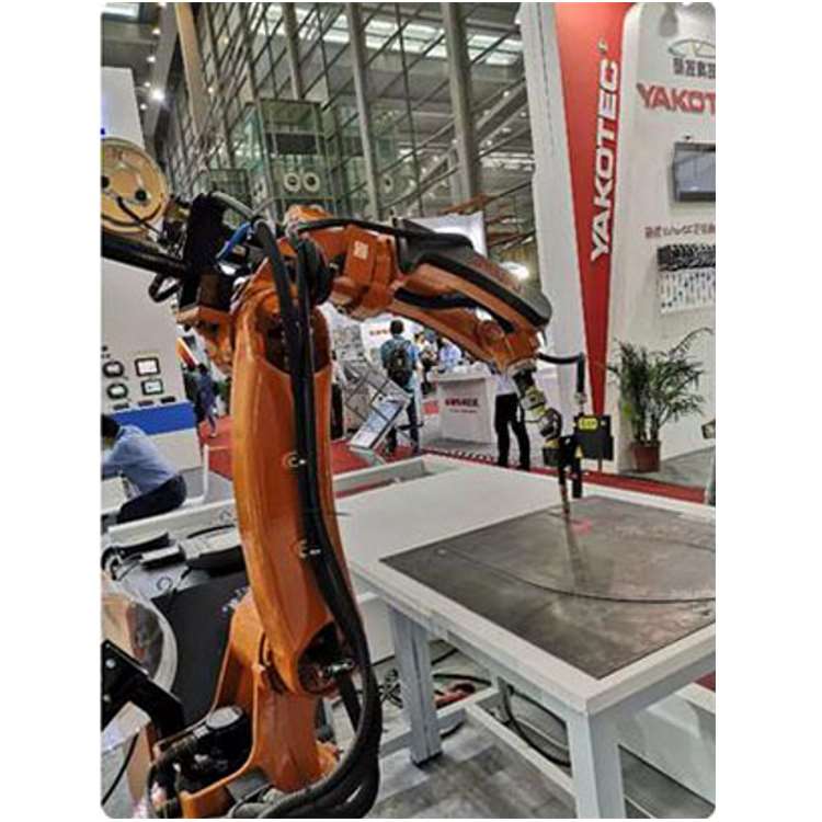 Braccio Robotico Industriale a - Linear Rail recensione e prezzo