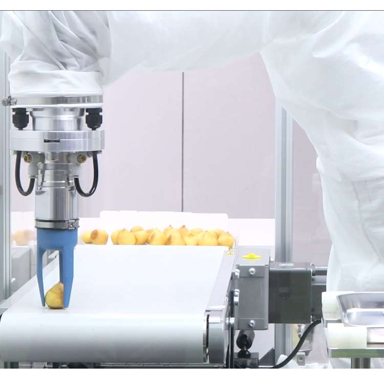 Braccio Robotico CNC a 6 Assi  - Linear Rail recensione e prezzo